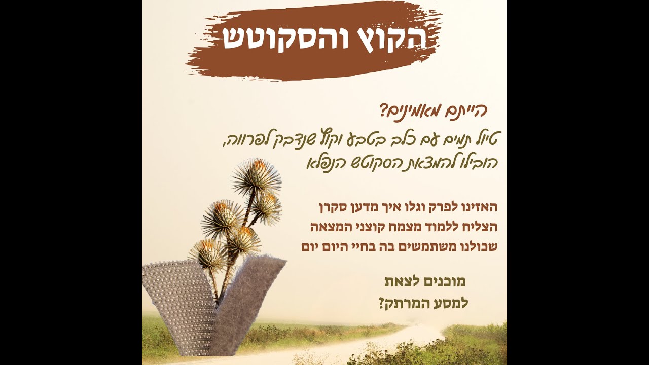 הקוץ והסקוטש