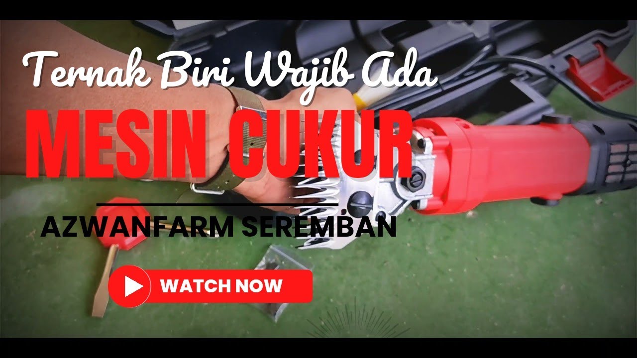 Mesin Penting Jika Nak Ternak Kambing Biri-Biri 