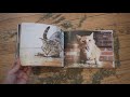 Cats on Catnip Hype Video