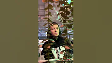 Знакомлюсь с Зеленым драконом