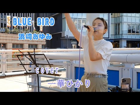 BLUE BIRD / 浜崎あゆみ  【cover / 一華ひかり】※概要欄も見てください。