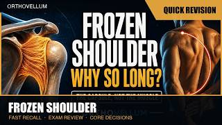 Frozen Shoulder Explained — Why It Hurts, and Why It Takes So Long — Quick Revision (exam review)