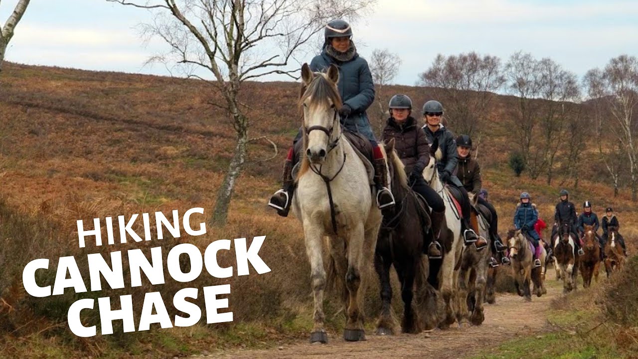 Hiking Cannock Chase | Cannock Chase Hike Dec 2025