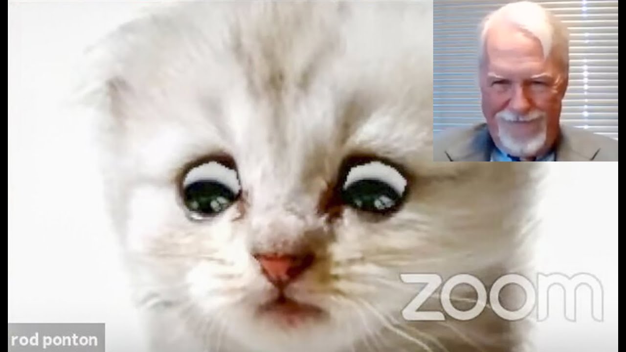 Guarda FUNNIEST KITTEN ZOOM FILTER MISHAP YOU CAN NEVER UNSEE (original excerpt) su YouTube Guarda FUNNIEST KITTEN ZOOM FILTER MISHAP YOU CAN NEVER UNSEE (original excerpt) su YouTube