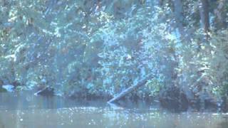 Spin-dry, 1/8 speed, nice view, by The Dragonfly Whisperer