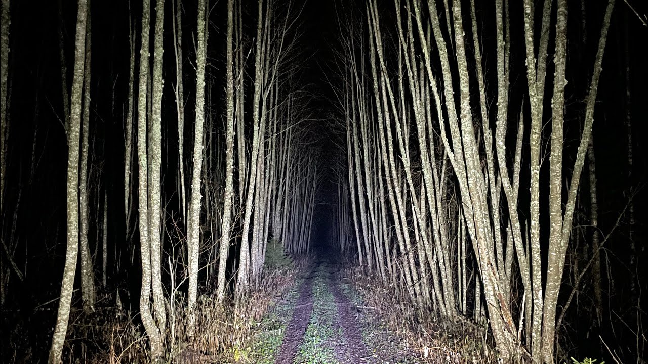 Карьер 11.11.23