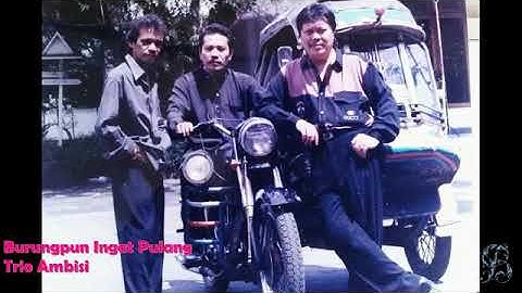 Trio Ambisi - Burungpun Ingat Pulang