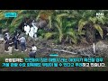 제주에 인신매매 조직 활개 친다? "수백 명 사라졌다" 폭로 글의 실체 / KNN