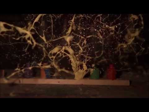 Don't Bother They're Here - Stars of The Lid