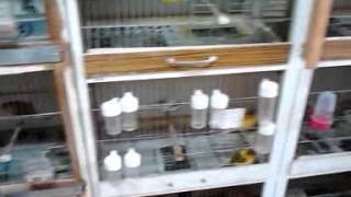 VID 20121111 151604