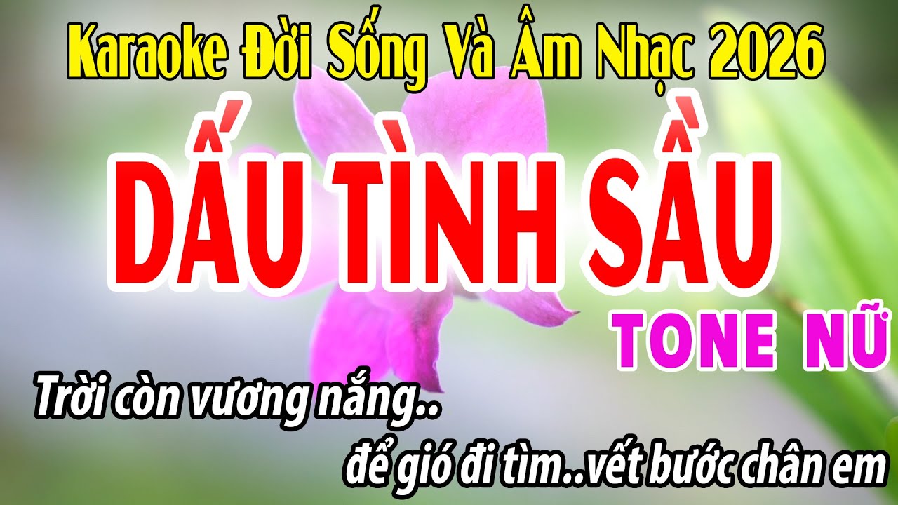 Dấu Tình Sầu - karaoke Tone Nữ ( D#m ) Đời Sống Và Âm Nhạc - Beat Phối Mới Dễ Hát