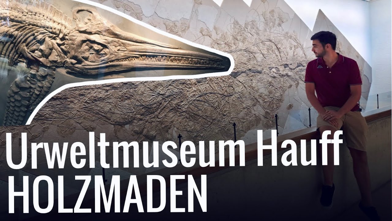 Urweltmuseum Hauff - HOLZMADEN