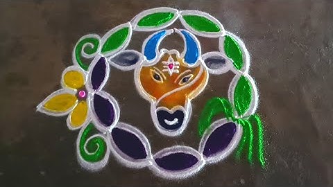 maattu Pongal special 5*3 simplemaadukolam/#simplerangoli/sangaranthicolorrangoli/gokulramyakolangal
