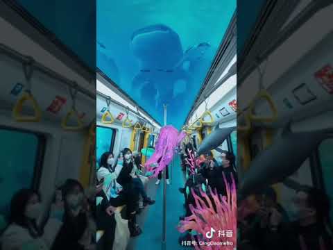 فيديو: الصين تستعرض أسرع قطار في العالم