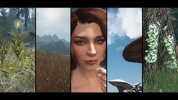Realvision ENB is UPDATED! Realistic Graphic Mods 2017