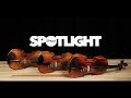 Sam Ash Welcomes Hora Violins