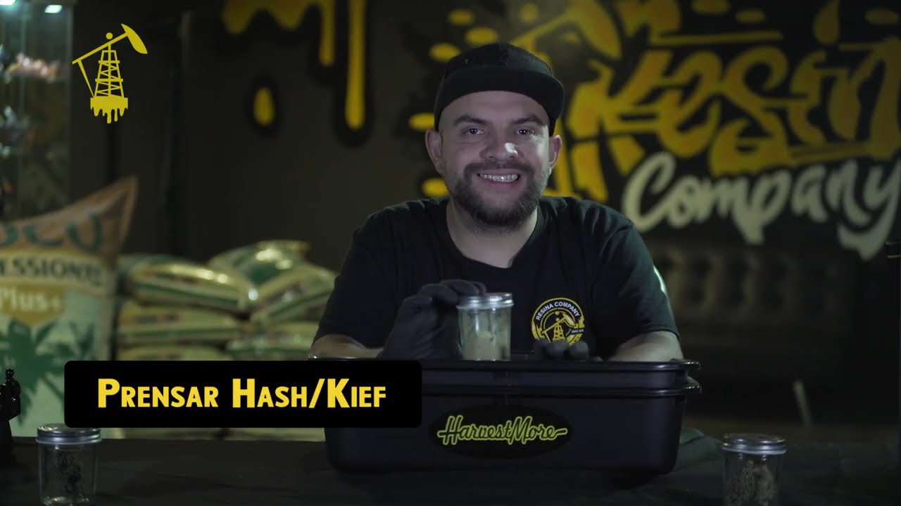 Guía completa con los mejores tips para hacer rosin