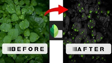 Snapseed photo editing | Droplets leaf Editing | Leaf photo editing | Snapseed editing tutorial