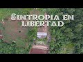 Sintropia en Libertad