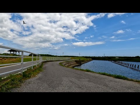 Japan Cycling | Kazusa-Ichinomiya Station to Hitomatsu Beach | 4K | June 2025