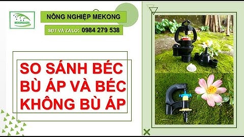 So sánh béc bù áp và béc không bù áp