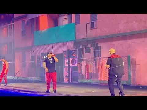 Video: Daddy Yankee Reagoi Ampumiseen Coliseo De Puerto Ricossa