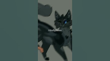 cinderpelt and cinderheart edit