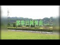 飛燕之星 - 台語泳裝 5 - 08.葉啟田純情曲