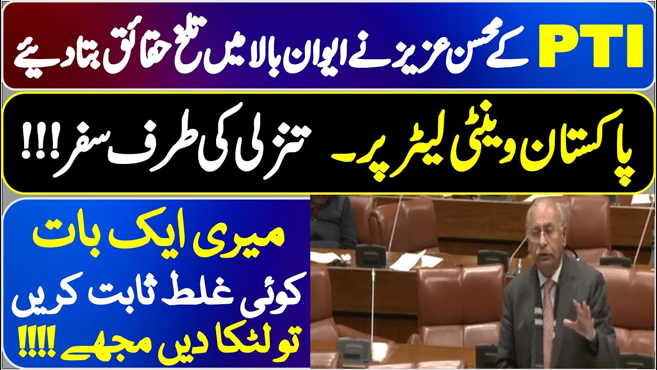 PTI Mohsin Aziz Stunning Speech In Senate Of Pakistan |