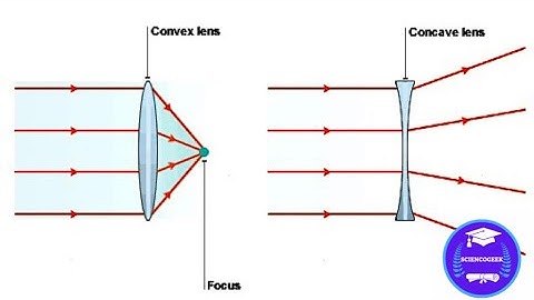 Class 7 Science Chapter 15: Differentiate between Concave and Convex Lens ( Important Topic )