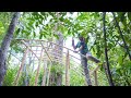 Girl Living Off Grid Build the Most Beautiful Little House Off Grid in the Jungle by Ancient Skills