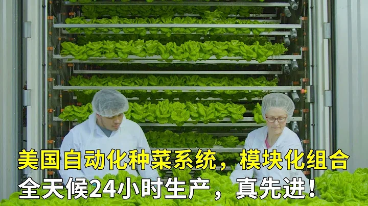 美国自动化种菜系统，模块化组合，全天候24小时生产，真先进！ - 天天要闻