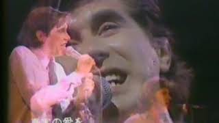 Bryan Ferry 'Young Music Show' (NHK 9 June 1977)