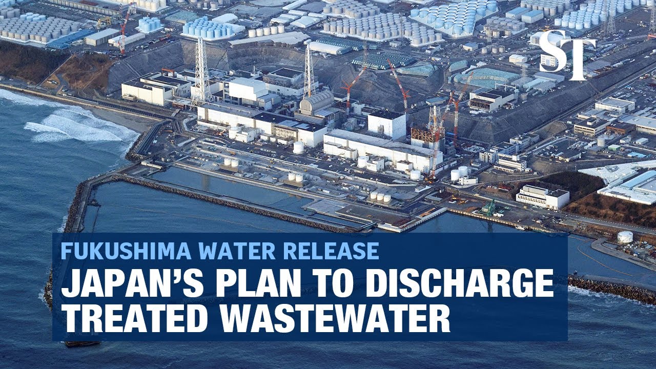 How Japan plans to release Fukushima water into the sea YouTube