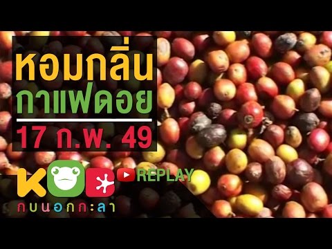 กบนอกกะลา REPLAY : หอมกลิ่นกาแฟดอย ช่วงที่ 2/4 (17 ก.พ. 49)