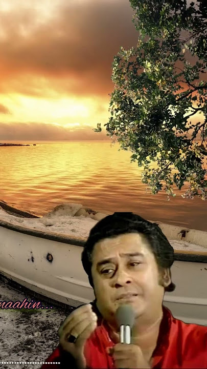 Mana janab ne pukara nahi#shortsvideo#instrumental#gaurav#kishorekumar#bollywood