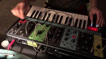 Moog Grandmother - Rhythmic Sequence