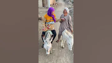 اهو جه اليوم اللي بتمناه 