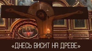 ДНЕСЬ ВИСИТ НА ДРЕВЕ