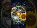 Why Do Spirals Exist Everywhere in the Universe? 🤯🌌 #mathfacts #ytshorts #mathematics #hiddenmath