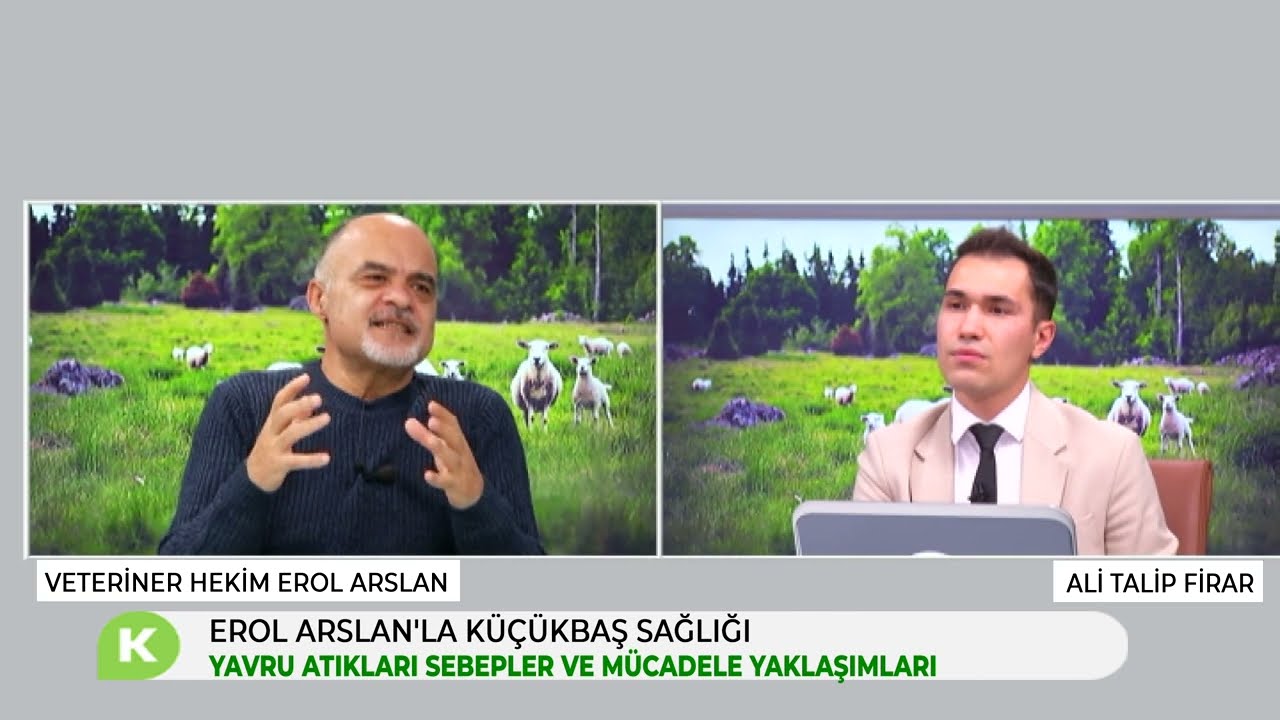 YAVRU ATIKLARI SEBEPLER VE MÜCADELE YAKLAŞIMLARI | EROL ARSLAN'LA KÜÇÜKBAŞ SAĞLIĞI