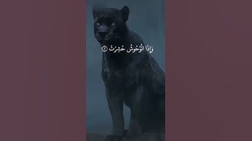 بضع آيات من سورة التكوير | تلاوة لا توصف