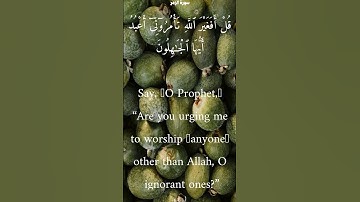 سورة الزمر من الأية 62 الى 65 محمد أيوب