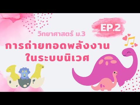 การถ่ายทอดพลังงานในระบบนิเวศ | วิทยาศาสตร์ ม.3 หน่วยที่ 7 EP.2