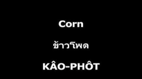 Vegetables - Learn Thai - Langhub.com