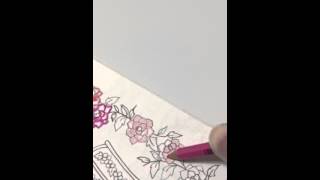 MITSUBISHIの3種類の色鉛筆でお花を塗ってみました
