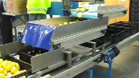 GP Graders Citrus Re-Packing Machine