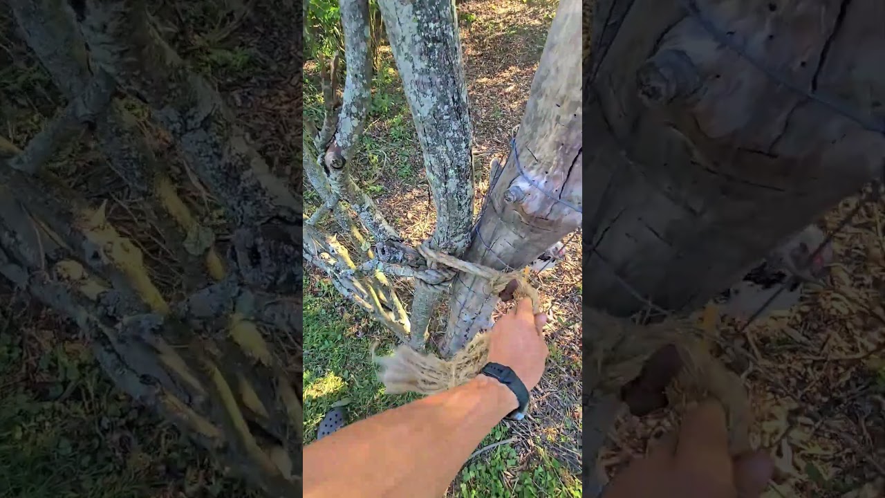 I'll Take Care Of It MUMBLES! #WhittAcres #enjoynaturetoday #homesteadinglife