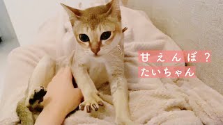 たいが先生にフミフミしてもらいました