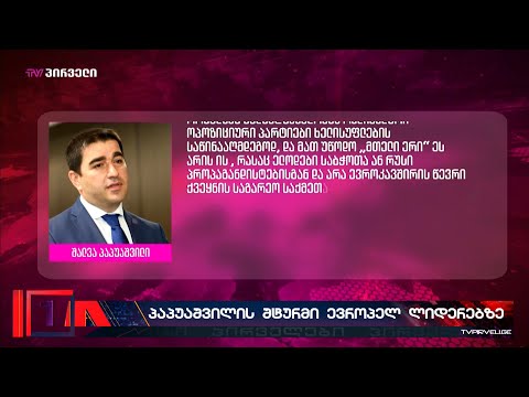 ქართული ოცნების შტურმი ევროპელ ლიდერებზე